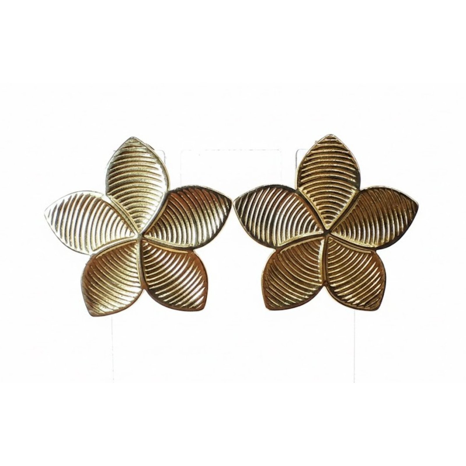 erss 8 (1) erss 8 (1)